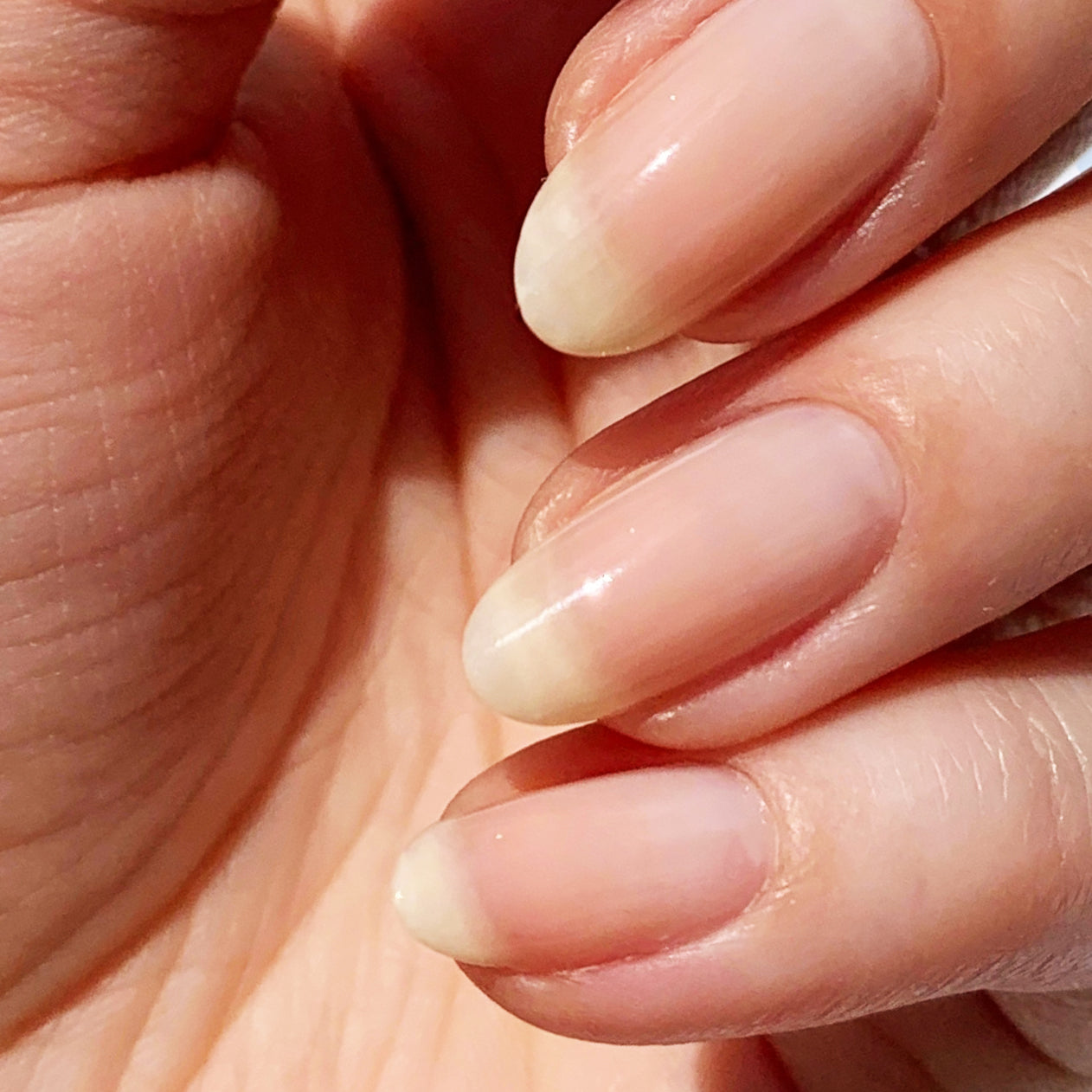 Close-up of a hand with natural, long, oval-shaped nails filed to perfection using the Mini Nail File Set by LONDONTOWN. The nails boast a smooth and healthy appearance, effortlessly ready to go.